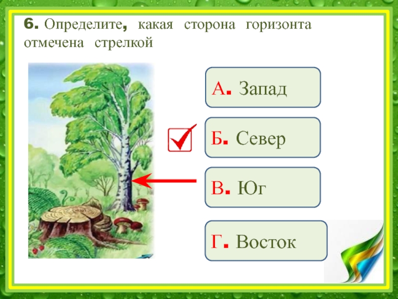 Определите какие стороны. Задание ориентация на местности 2 класс. Задание на тему ориентирование на местности 2 класс. Задания по ориентированию на местности 2 класс. Ориентирование на местности окружающий мир задания.