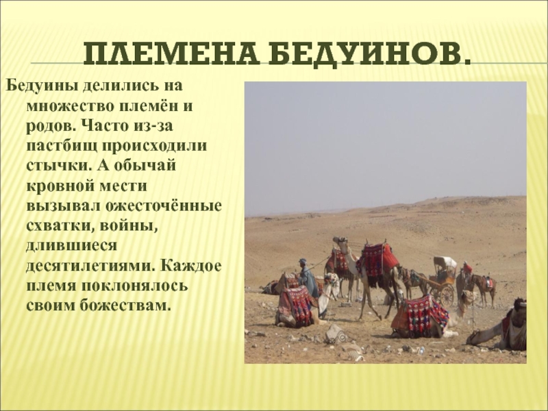 Предки арабов. История 6 класс племена бедуинов. Племена бедуинов в Аравии 6 класс. Племена бедуинов в Аравии. Племена бедуины делились.