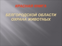 Красная книга Белгородской области. Охрана животных 3 класс