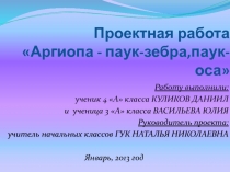 Аргиопа - паук-зебра, паук-оса 3 класс