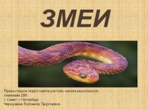 Змеи 3 класс