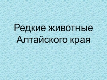 Редкие животные Алтайского края