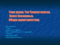 Тип Членистоногие. Класс Насекомые. Общая характеристика 7 класс