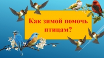 Как помочь зимой птицам? 1 класс