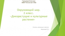 Презентация по окружающему миру 