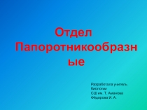 Отдел Папоротникообразные 7 класс