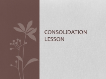 Consolidation lesson 3 класс