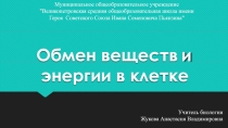 Обмен веществ и энергии в клетке