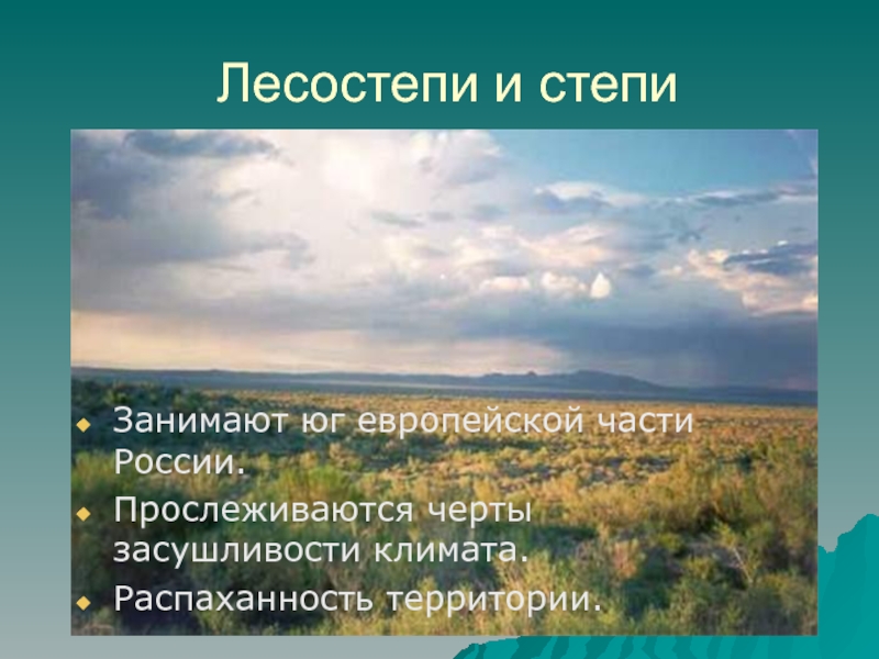 География 8 класс презентация природные зоны