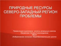 Природные ресурсы. Северо-западный регион. Проблемы 3 класс