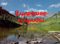 В царстве природы