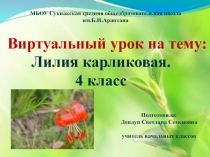 Лилия карликовая 4 класс