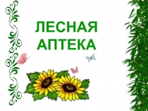 Лесная аптека