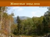 Животные зоны леса 2 класс