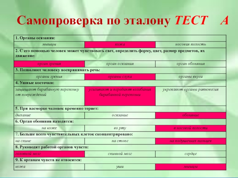 Какая характеристика не относится к стандарту образец эталон модель не является шаблоном