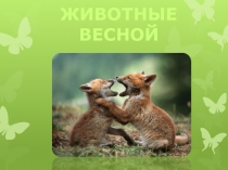 Животные весной для дошкольников