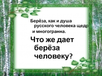 Что же даёт берёза человеку?