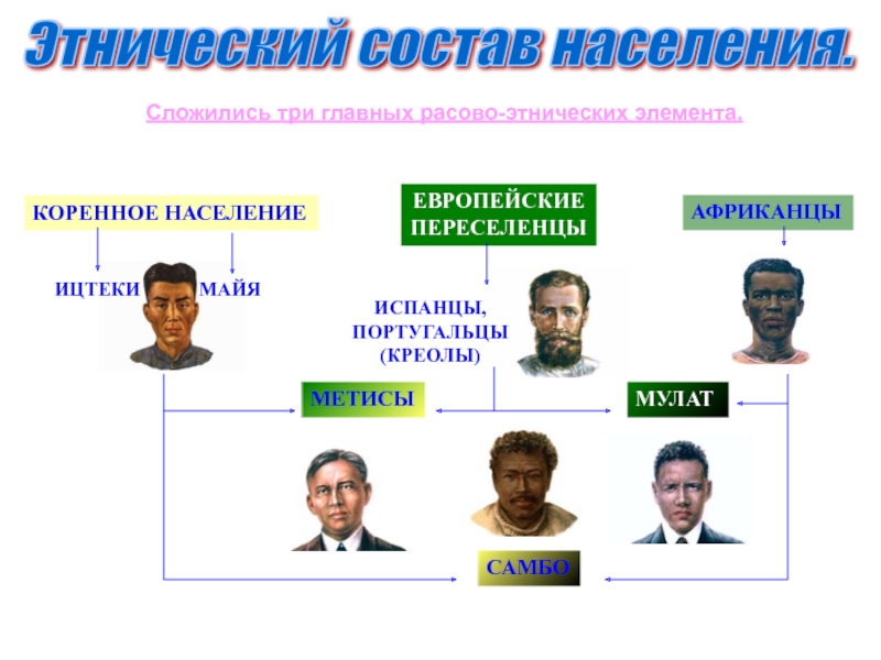 Этнический состав схема