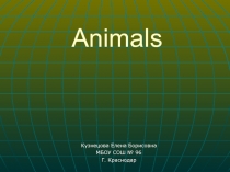 Animals 5 класс