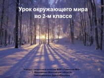 Что такое снег? Почему лёд плавает? 2 класс