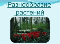 Разнообразие растений 4 класс