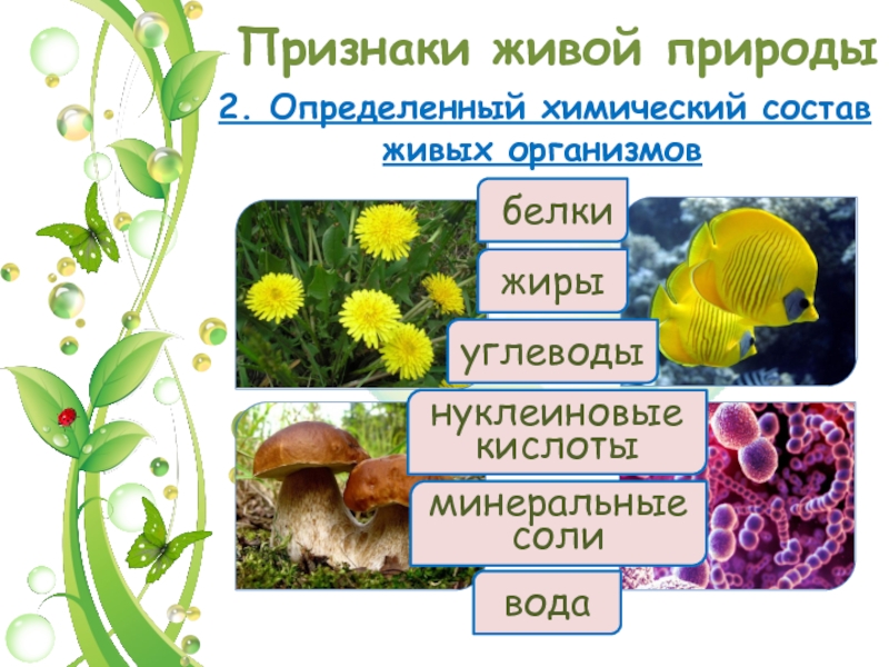 Живые организмы определяют состав. Признаки живой природы. Определенный химический состав живых организмов. Состав живой природы. Химический состав живой природы.