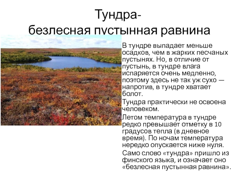 Почему тундра является безлесной природной. Влажность в тундре. Природные ресурсы лесотундры. Безлесные природные зоны России. Растения лесотундры.