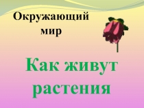 Как живут растения