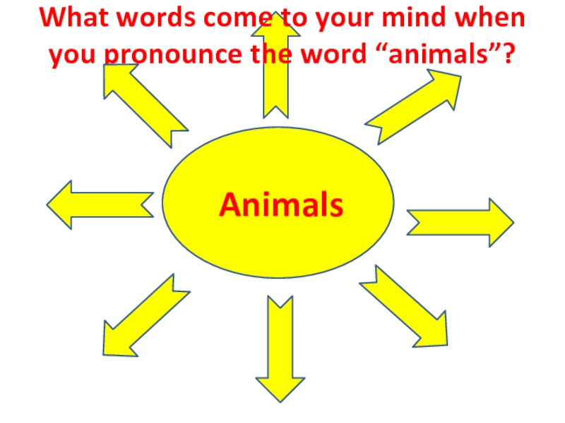 What words come to your mind when you pronounce the word “animals”?   Animals