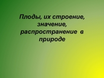 Плоды, их строение, значение, распространение в природе