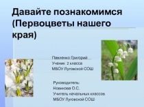 Исследовательская работа 