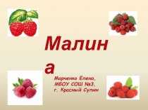 Малина 1 класс