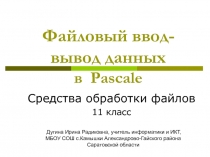 Файловый ввод - вывод данных в Pascal 11 класс