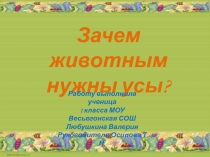 Зачем животным нужны усы?