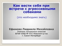 Как вести себя при встрече с агрессивными собаками 2 класс