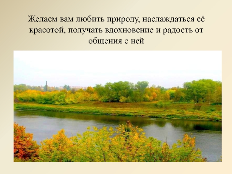 Что по вашему любить природу. Поэзия родной природы 8 класс. Поэзия родной природы 8 класс тезисы. Проект любите природу. Люблю природу русскую.