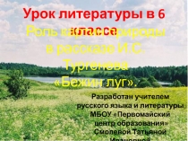 Роль картин природы в рассказе И.С. Тургенева Бежин луг 6 класс