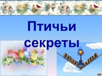 Птичьи секреты 2 класс