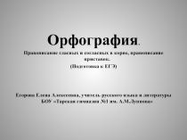 Орфография. Правописание гласных и согласных в корне, правописание приставок (Подготовка к ЕГЭ)