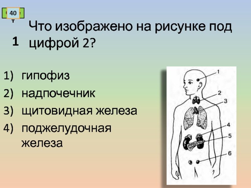 Что изображено на рисунке под номером 3