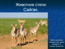 Животное степи: Сайгак 3 класс