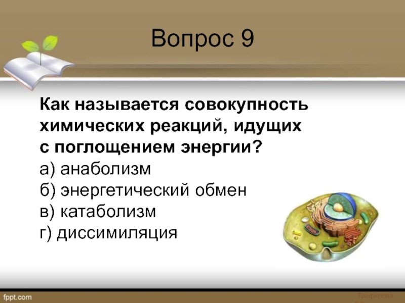 Совокупность химических. Совокупность химических реакций. Как называется совокупность.