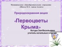 Первоцветы Крыма 3 класс