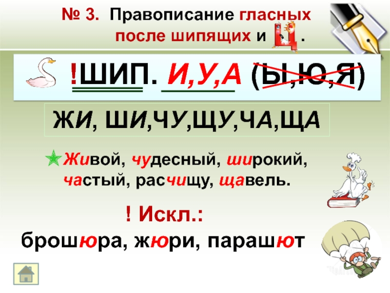 Тест на шипящие. Правописание гласных после шипящих. Жюри брошюра парашют правило. У Ю после шипящих правило. Жюри парашют брошюра и ещё 7 слов исключения.