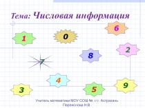 Числовая информация