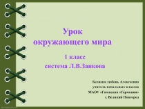 Мы заняты разным делом 1 класс (система Л.В.Занкова)