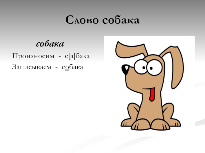 Произнеси слова собака. Слово собака. Проект рассказ о слове собака. Проект по слову собака. Рассказ о слове собака проект по русскому.