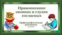 Правописание звонких и глухих согласных 5 класс