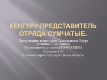 Кенгуру - представитель отряда сумчатые 7 класс