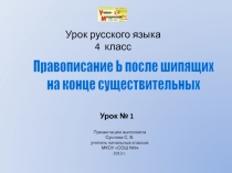 Правописание Ь после шипящих на конце существительных 4 класс